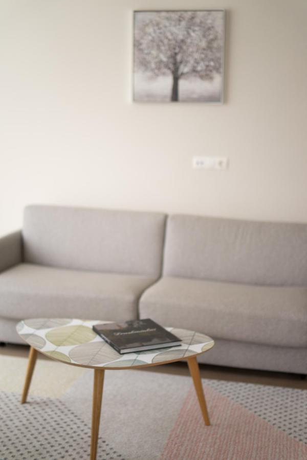 Apartment In Druskininkai City Centre ภายนอก รูปภาพ